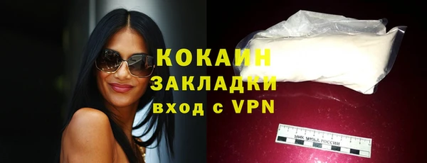 ПСИЛОЦИБИНОВЫЕ ГРИБЫ Белокуриха