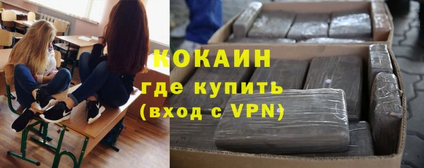 гашик Лиски